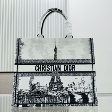 Dior Shopping Bags